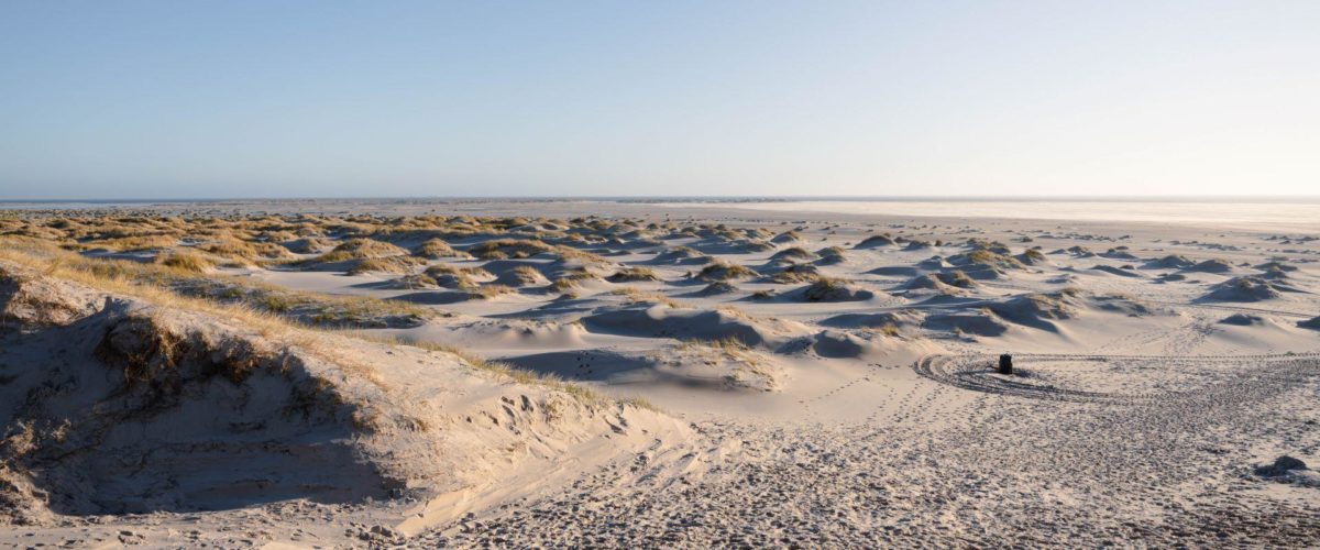 Dünen. Insel Amrum