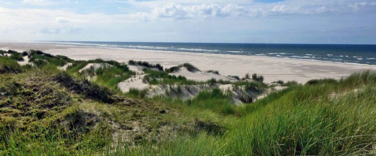 Insel Borkum